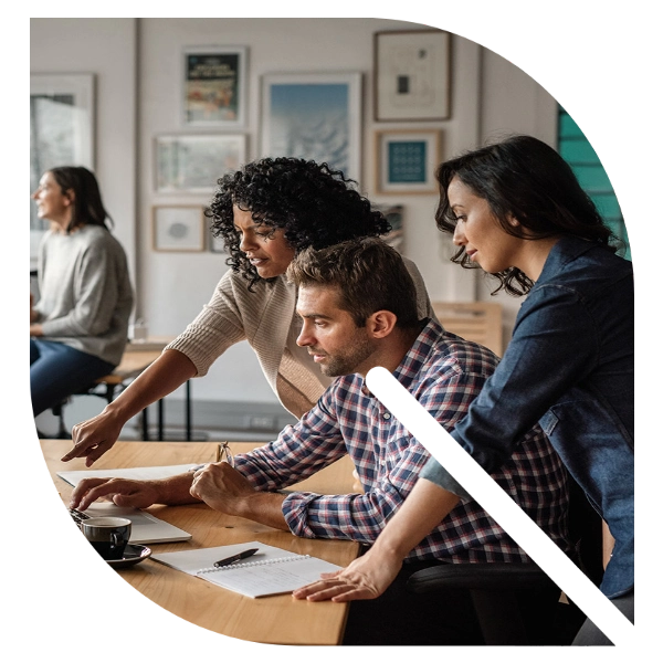 Employee training and capability development